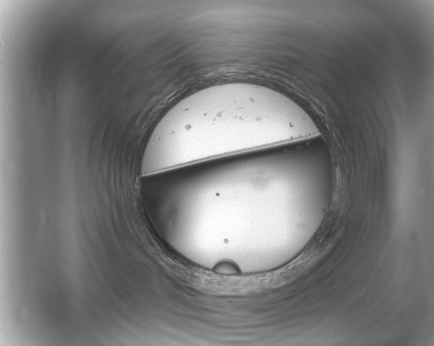 X0000066120048200603101053