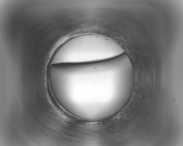 X0000066120054200603101052