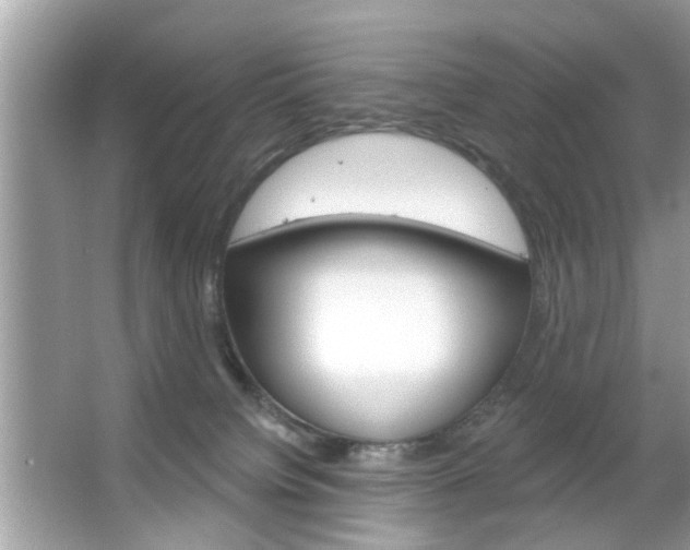 X0000066120084200603101053