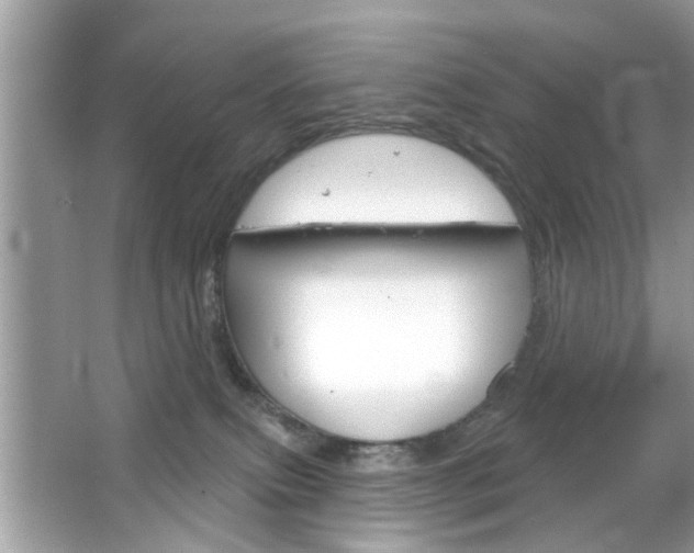 X0000066120087200603101053