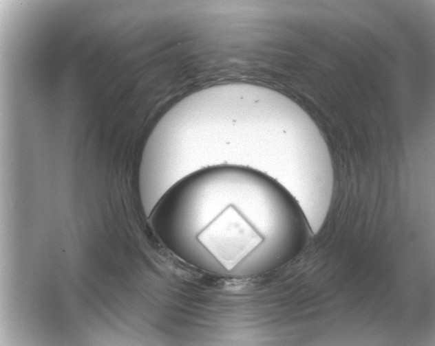 X0000066120088200603101053