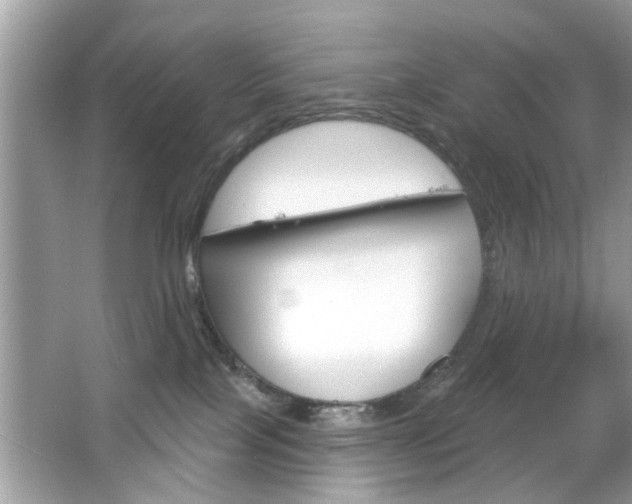 X0000066120089200603101053