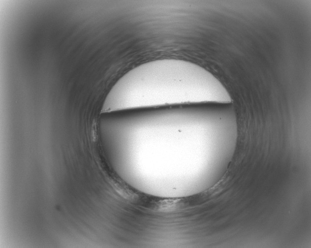 X0000066120090200603101053