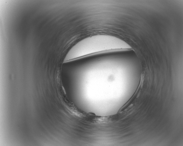 X0000066120092200603101053