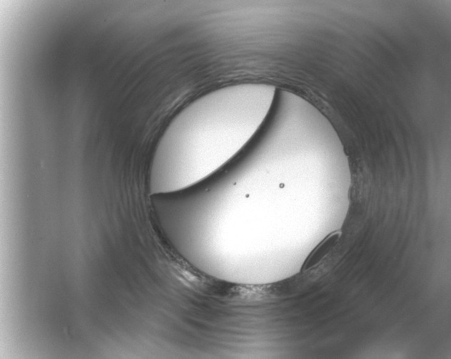 X0000066120093200603101053