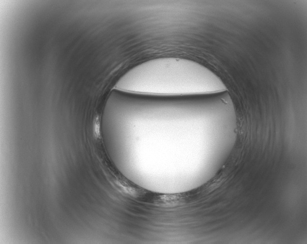 X0000066120095200603101053