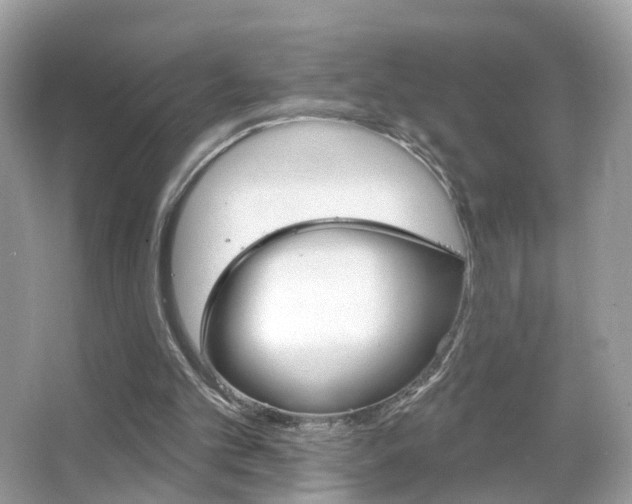X0000066120101200603101052