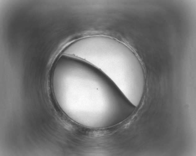 X0000066120103200603101052