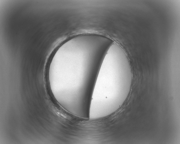 X0000066120104200603101052