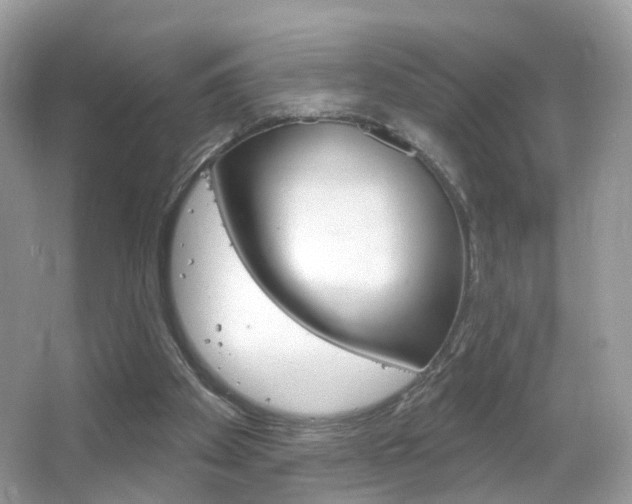 X0000066120105200603101052