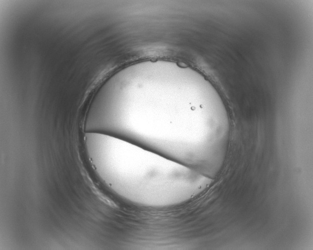 X0000066120106200603101052