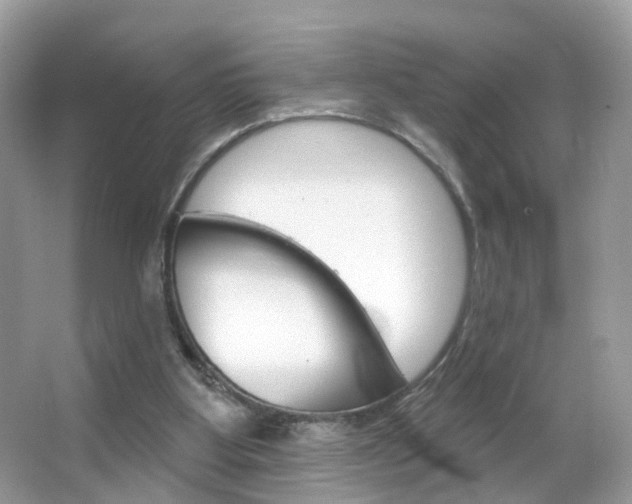 X0000066120107200603101052