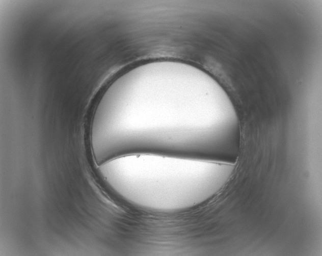 X0000066120108200603101052
