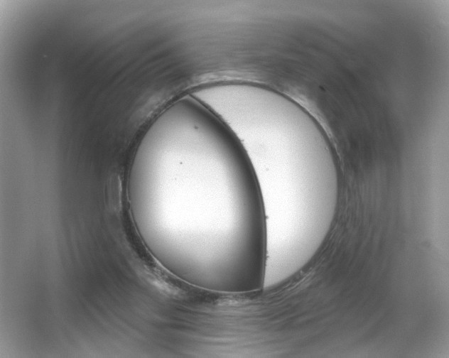 X0000066120109200603101052