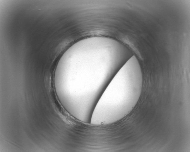 X0000066120110200603101052