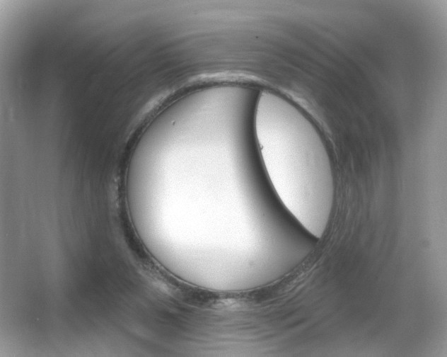 X0000066120111200603101052
