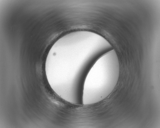 X0000066120112200603101052
