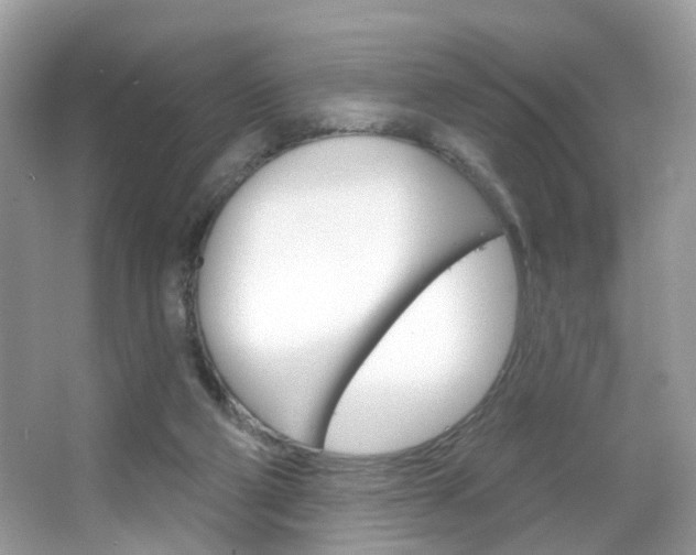 X0000066120114200603101052