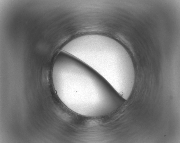 X0000066120115200603101052