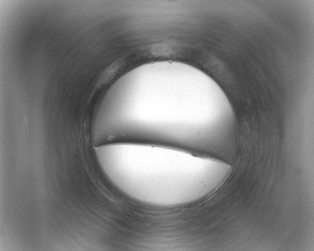 X0000066120116200603101052