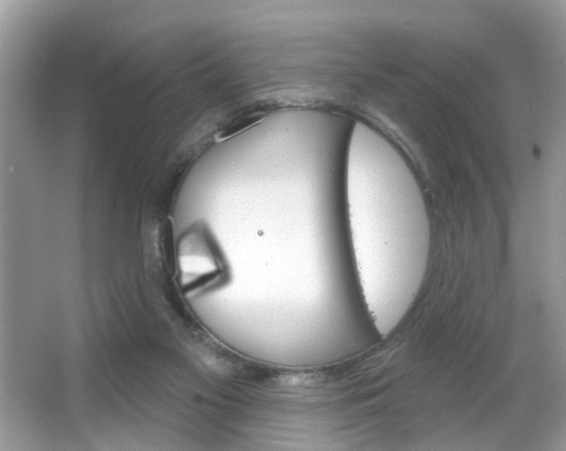X0000066120117200603101052