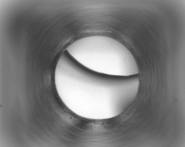 X0000066120120200603101051