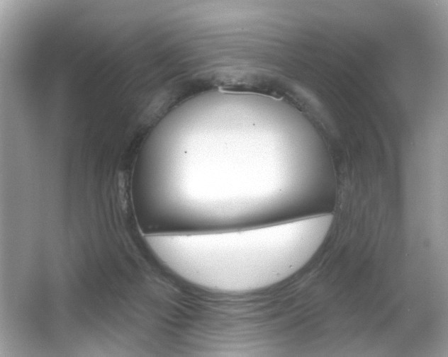 X0000066120121200603101051