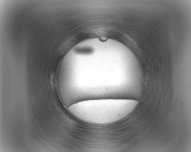 X0000066120122200603101051