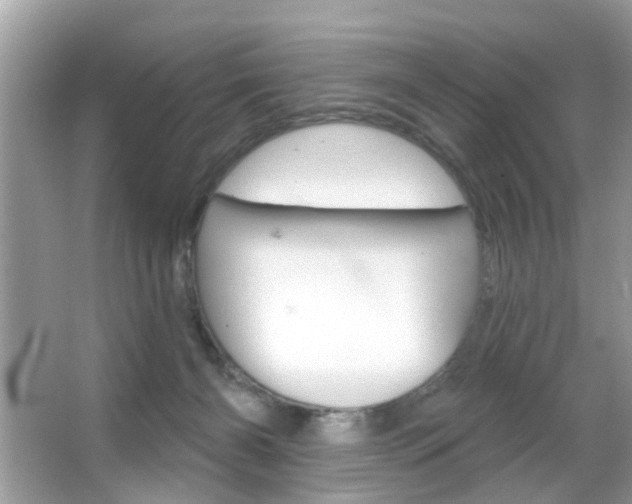 X0000066120126200603101051