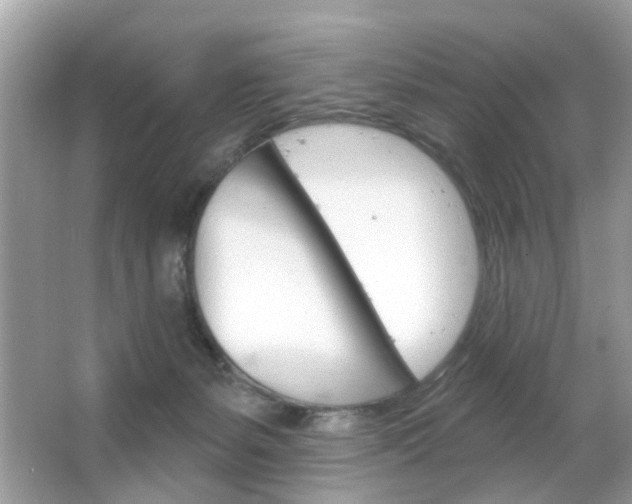 X0000066120127200603101051