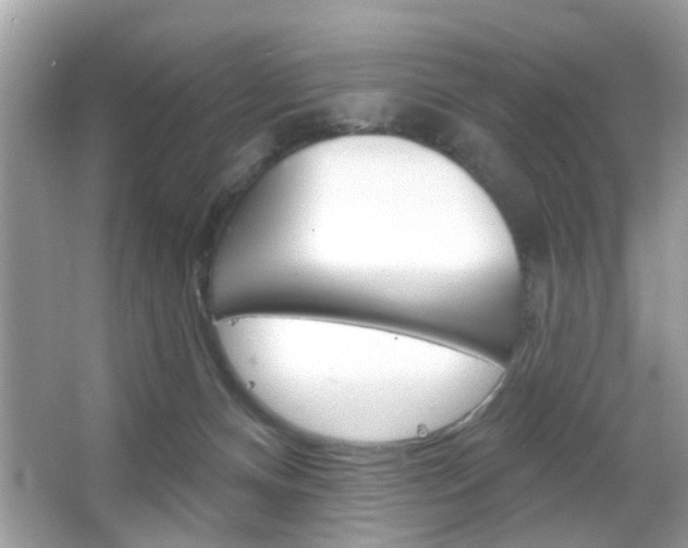 X0000066120128200603101051