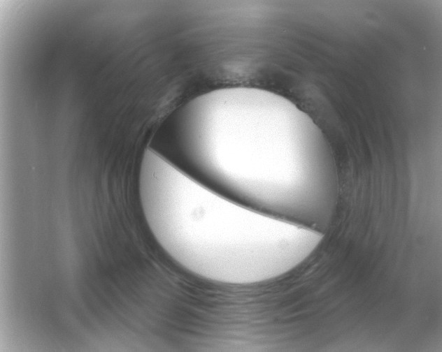 X0000066120131200603101051