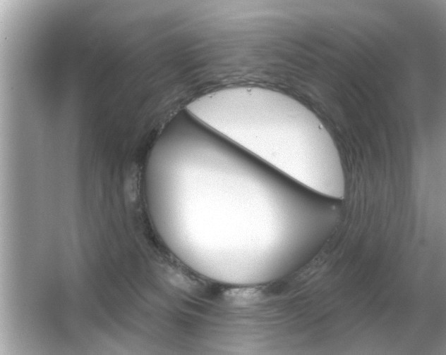 X0000066120133200603101051