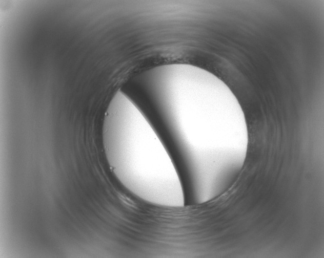 X0000066120136200603101051