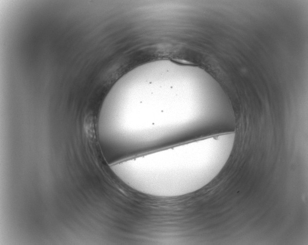 X0000066120137200603101051