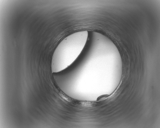 X0000066120144200603101051