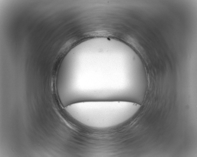 X0000066120157200603101050