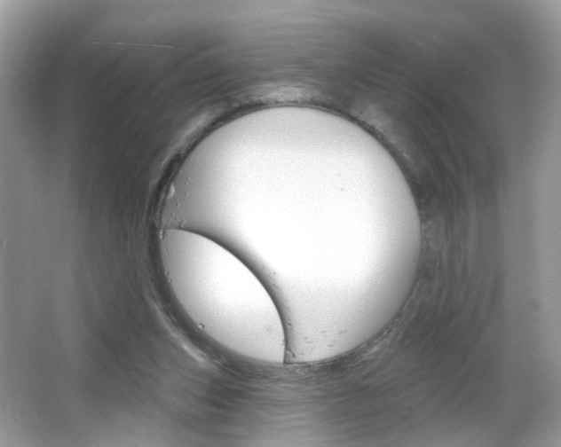 X0000066120159200603101051