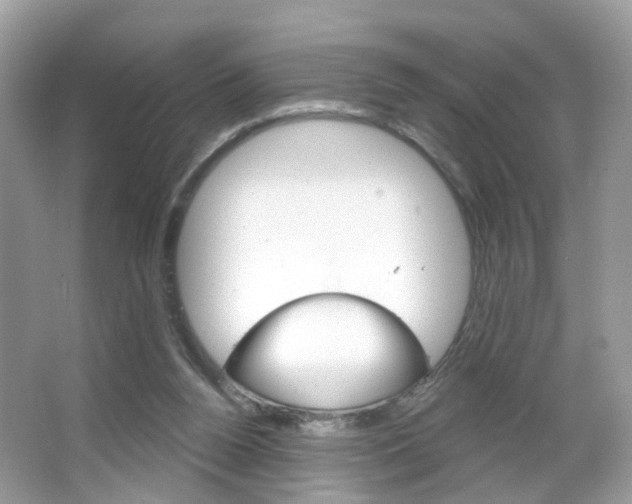 X0000066120160200603101051