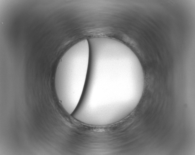 X0000066120161200603101051