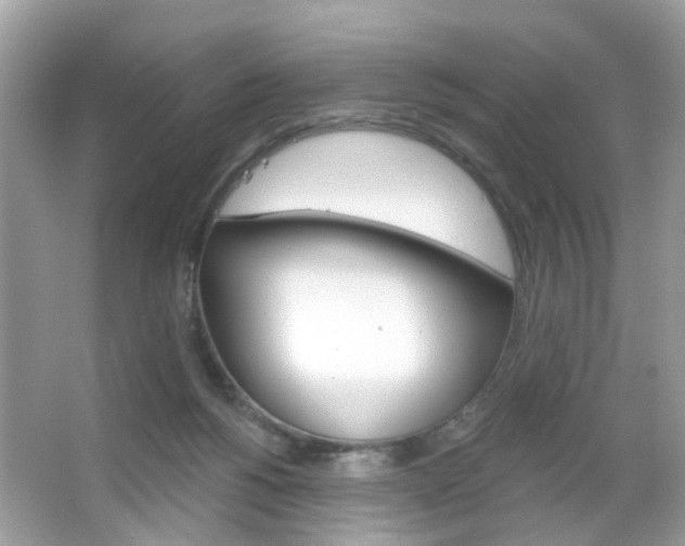 X0000066120168200603101051