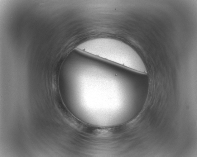 X0000066120170200603101051