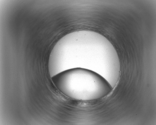 X0000066120174200603101051