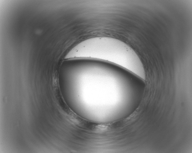 X0000066120176200603101051