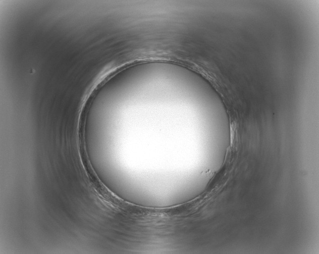 X0000066120195200603101050