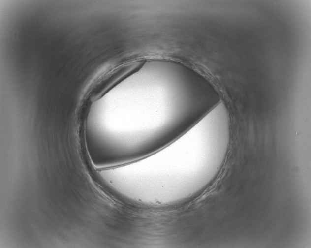 X0000066120197200603101050
