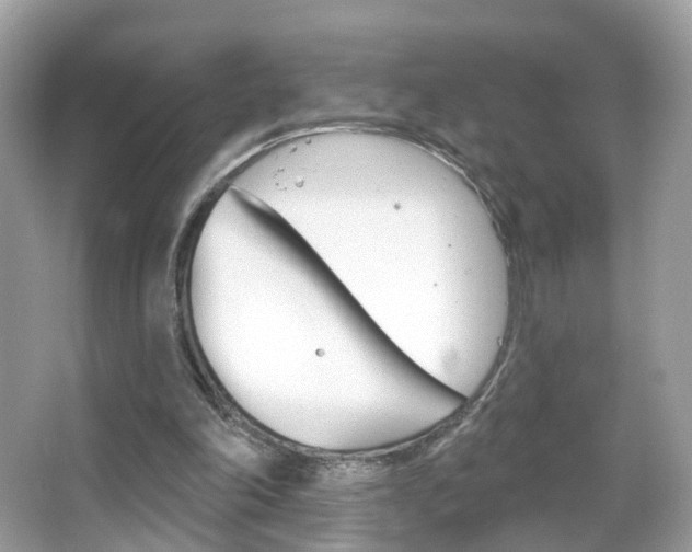 X0000066120198200603101050
