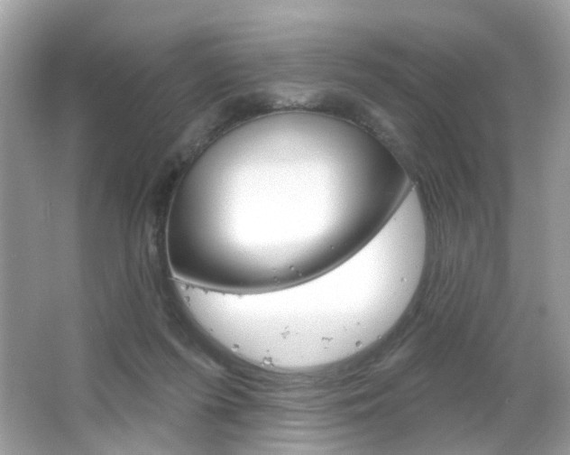 X0000066120215200603101050