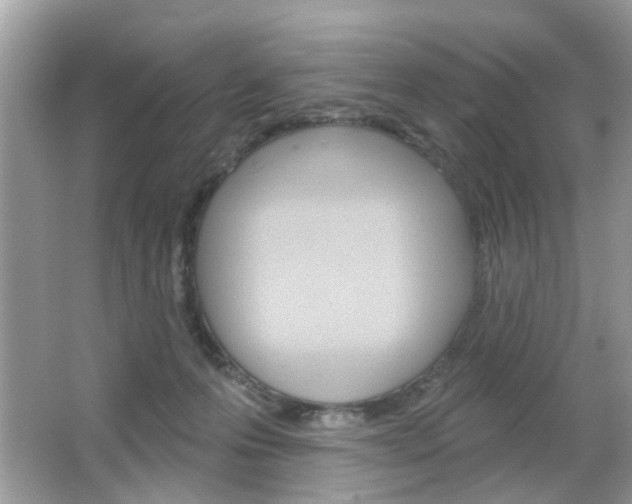 X0000066120223200603101050