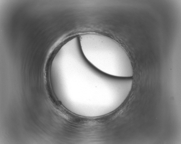 X0000066120246200603101049